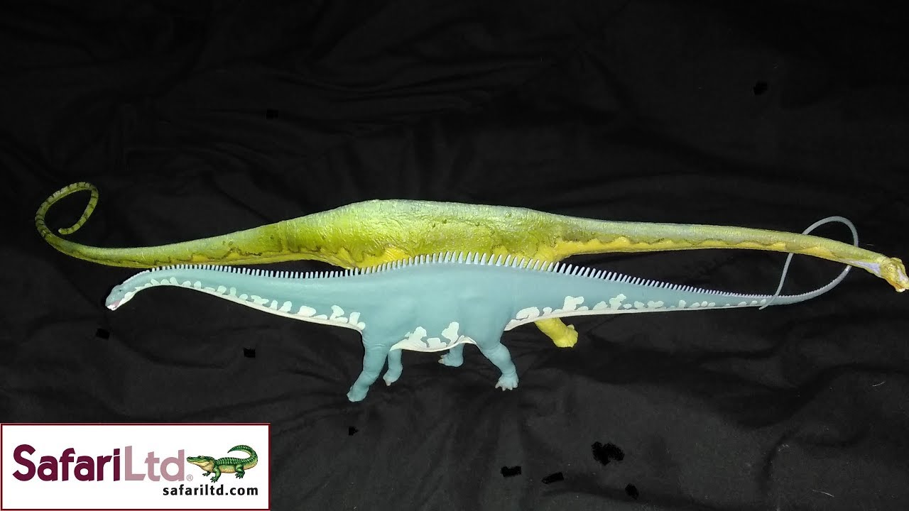 Safari LTD & Carnegie Diplodocus Review!!!