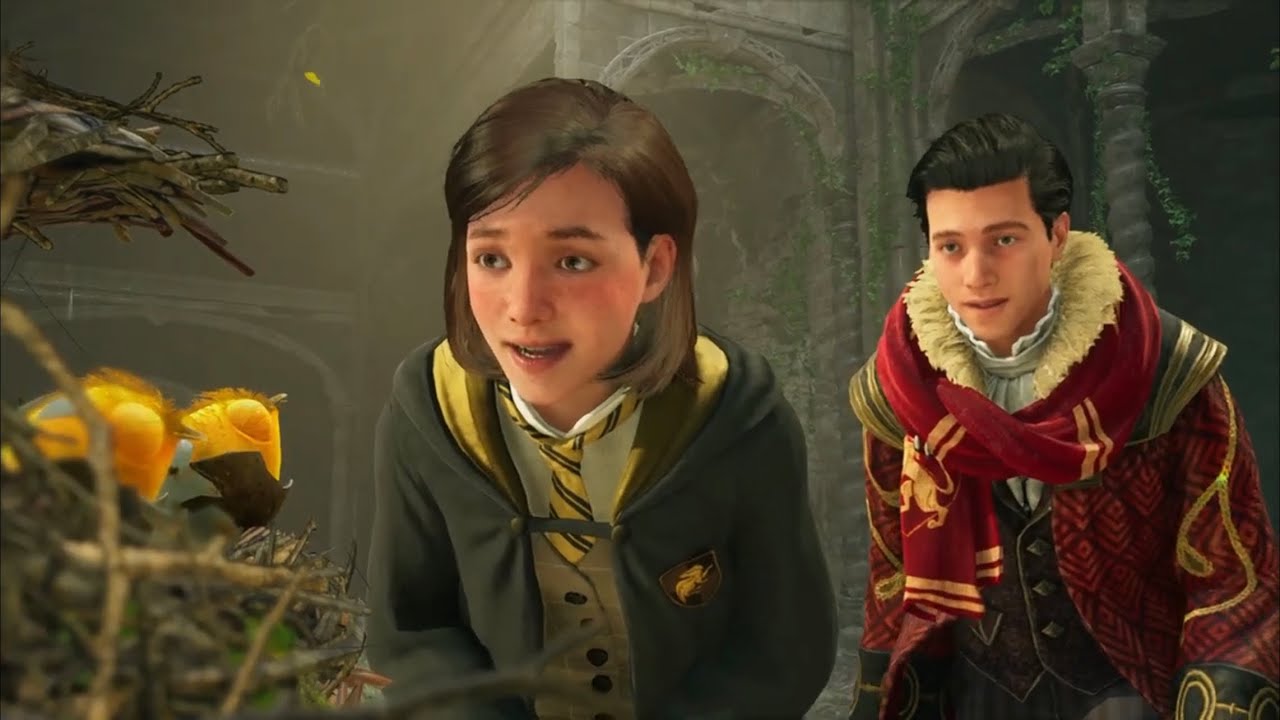 Hogwarts Legacy : TROUVER LES VIVETS