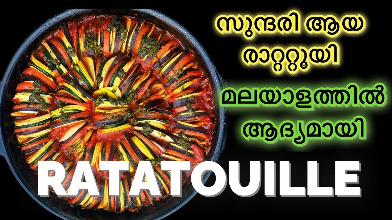 സുന്ദരി ആയ രാറ്ററ്റൂയി // Ratatouille// First time in Malayalam// മലയാളത്തിൽ ആദ്യമായി
