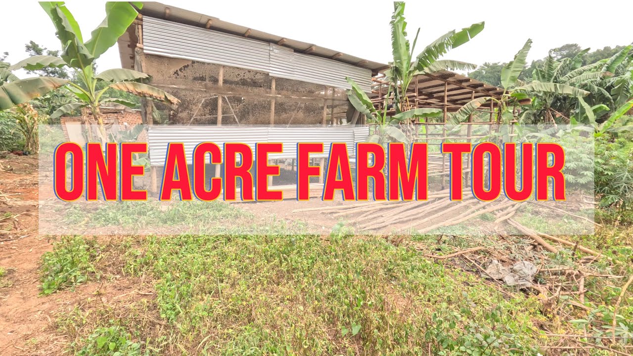 ONE ACRE FARM TOUR (get inspired to start your dream farm)