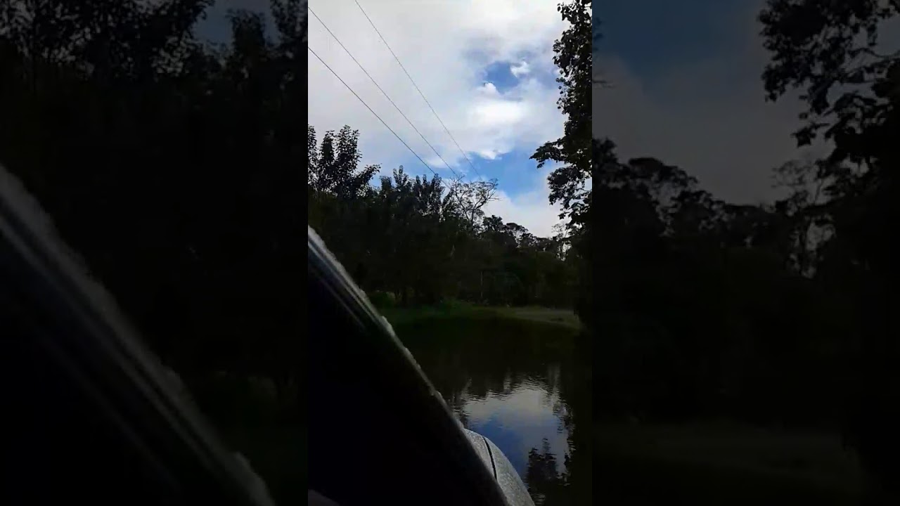 Carretera Boca Tapada .Boca San Carlos