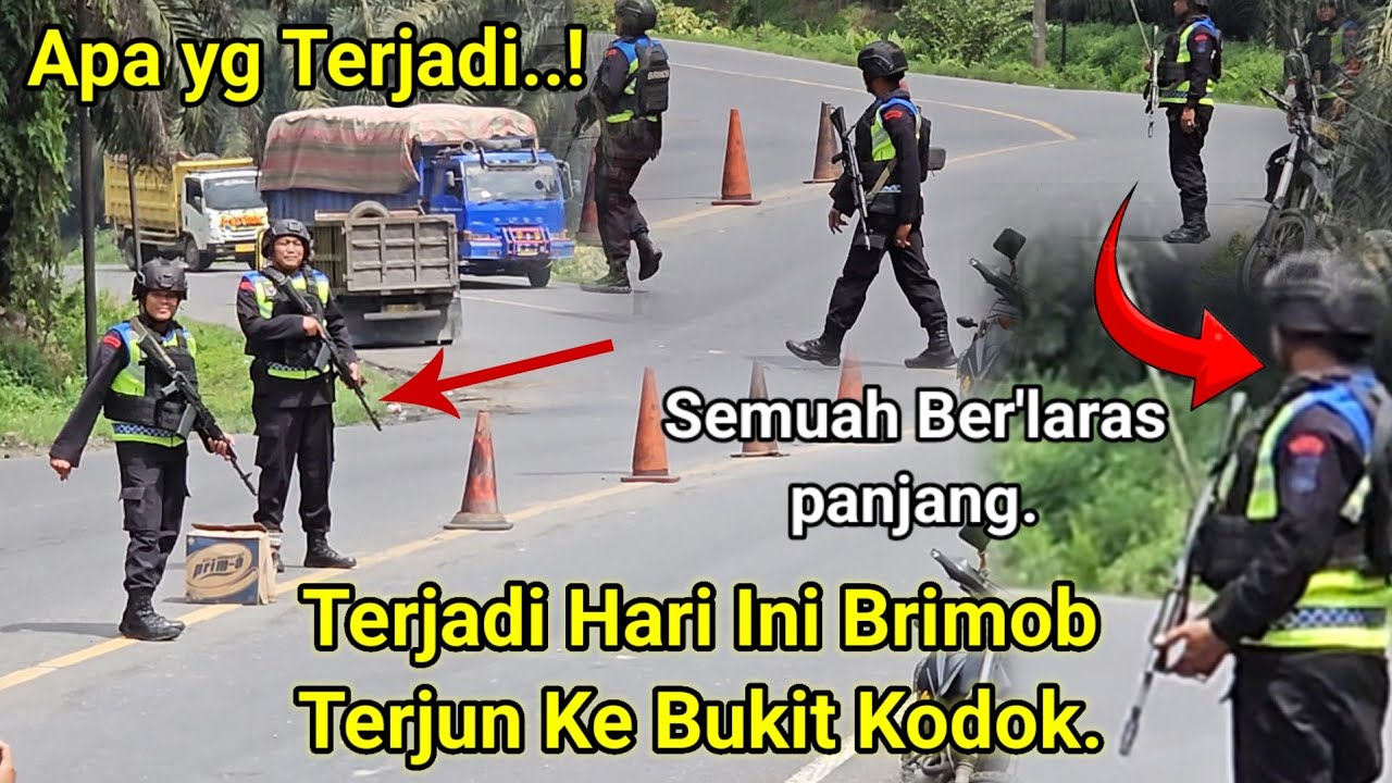 Terjadi Hari Ini Brimob Terjun Ke Bukit Kodok.Berlaras Panjang Empat Orang Personil,Insden Hari Ini.