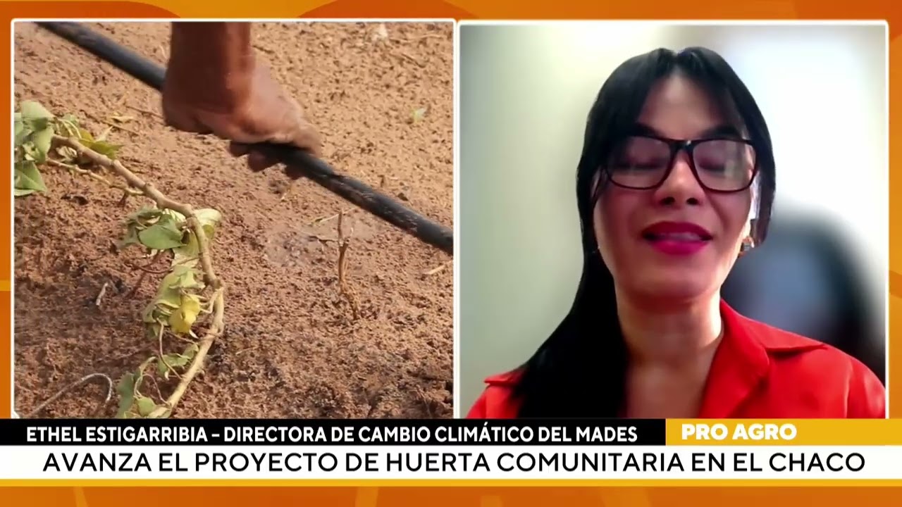 Avanza el proyecto de huerta comunitaria en el Chaco