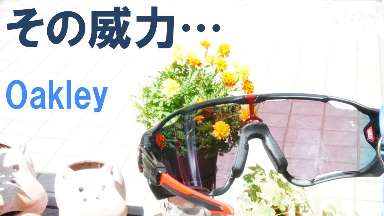 【ロードバイク】憧れのアイウェア、オークリー・ジョーブレーカーを購入。初装着の感動を実況する