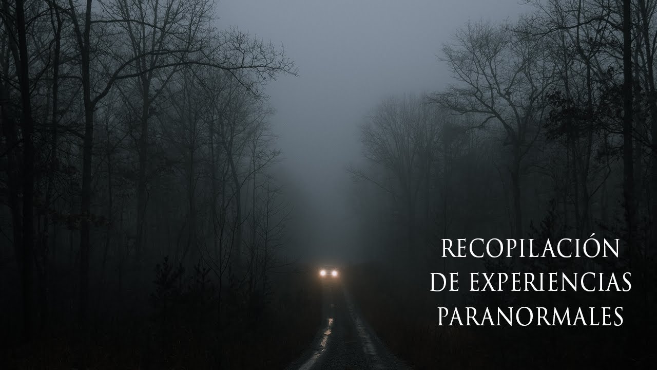 LOS TERRORES DEL BOSQUE