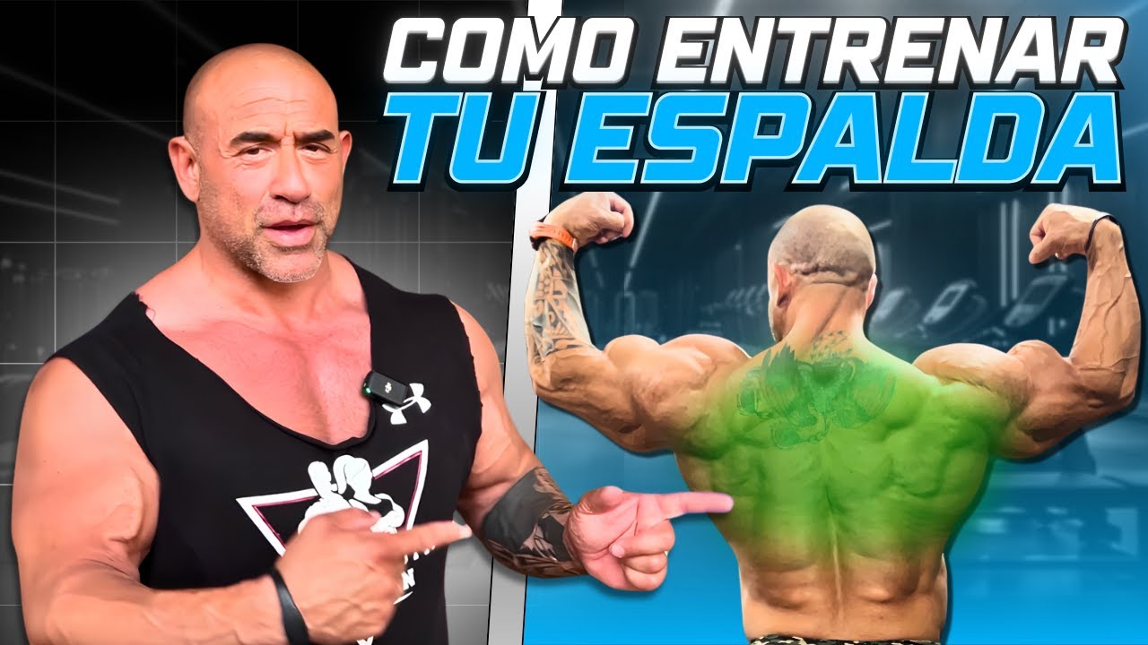 Entrena tu espalda como un experto 🧠 | Guía completa con ciencia y técnica”