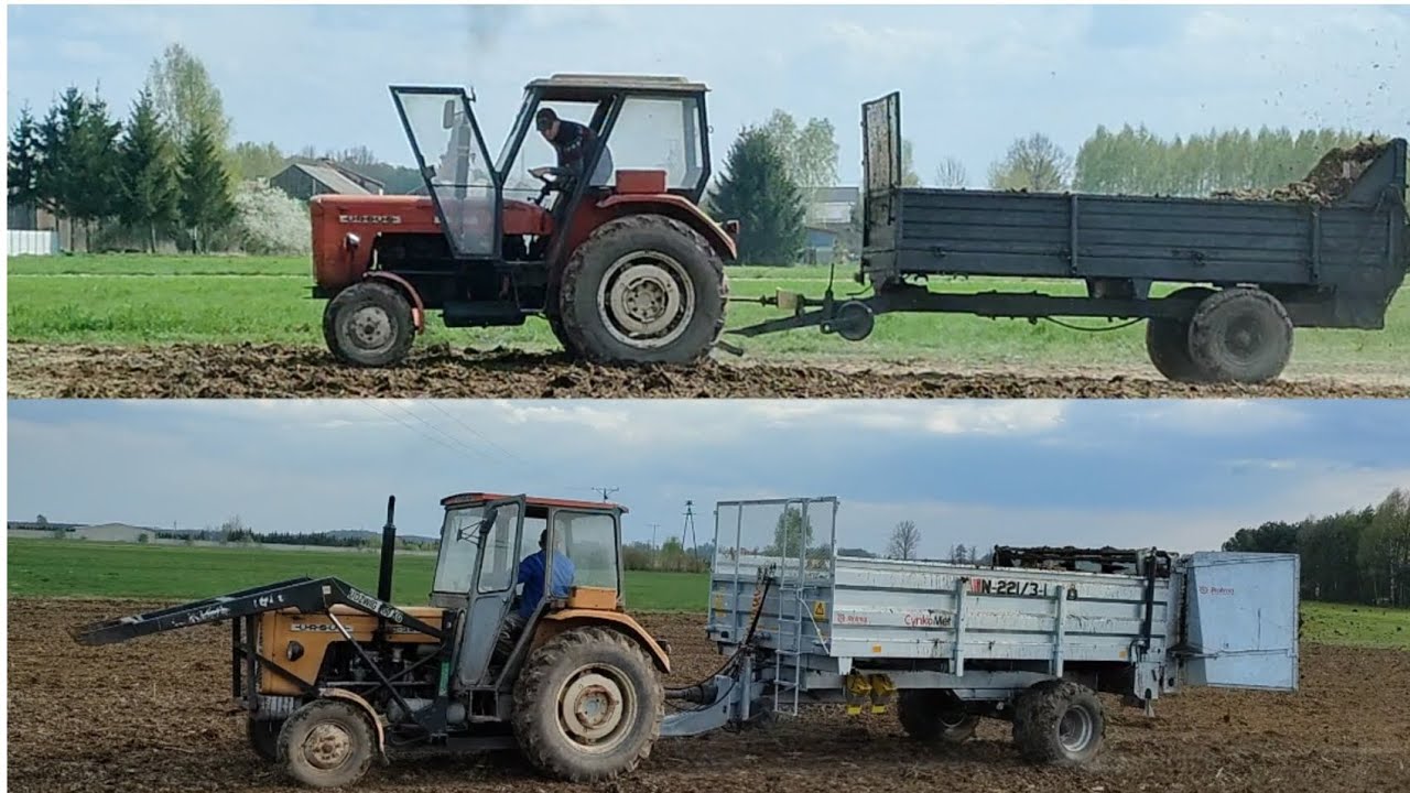 Ursus c360 3p vs cynkomet 6 ton🤷😱Oporowe rozrzucanie obornika na dwa zestawy💪2023