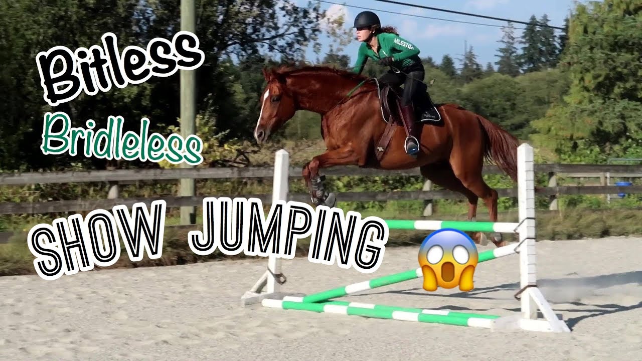JUMPING WITHOUT A BIT?!| BITLESS&BRIDLELESS