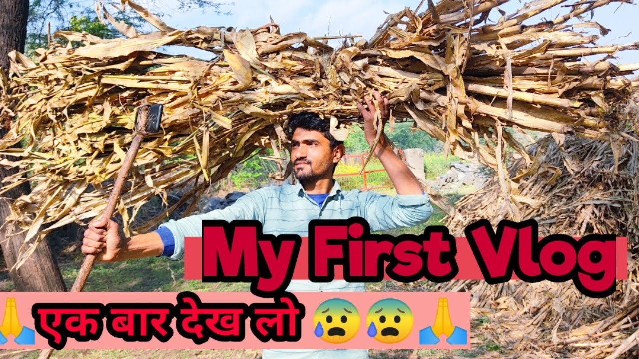 My First Vlog | 🙏 | कोई तो देख लो | 😰| govardha jat | vlog