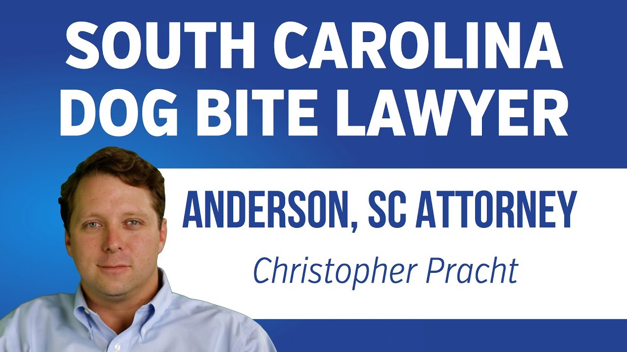 Dog Bite Attorney Anderson SC | Anderson Dog Bite Lawyer | 864-226-7222