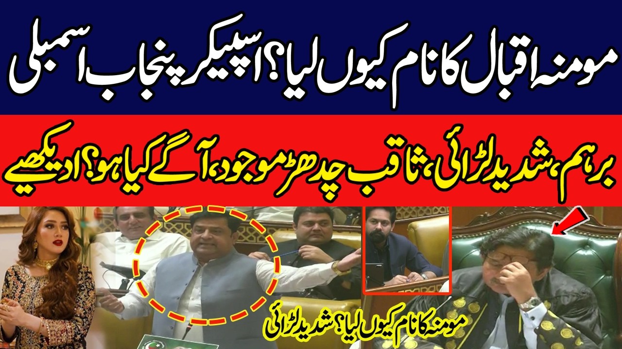 Huge Fight Punjab Assembly over Momina iqbal | Saqib Chadhar Present | Speaker Vs PTI NAdeem Qureshi