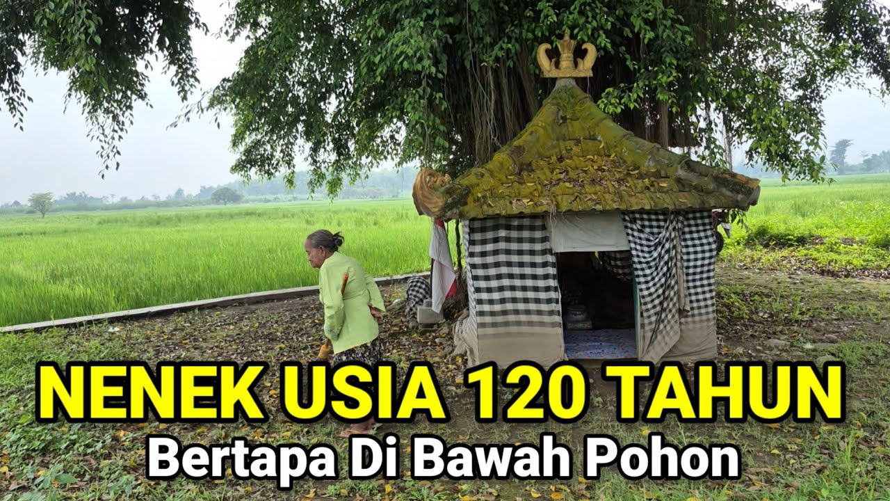 Lagi Viral.! Nenek Usia 120 Tahun Bertapa Di Bawah Pohon Dapat Togel Jitu