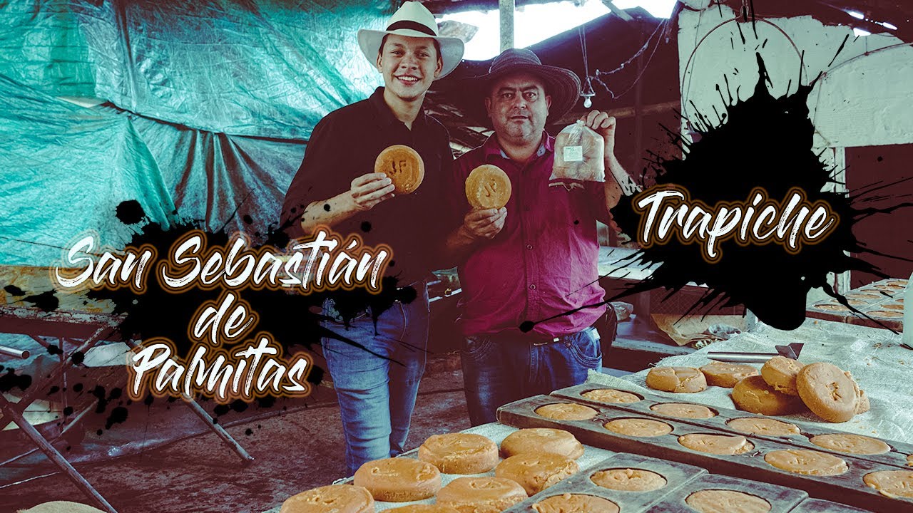 ¡ASÍ SE HACE LA MEJOR PANELA DE ANTIOQUIA! - Trapiche Palmitas [VLC]
