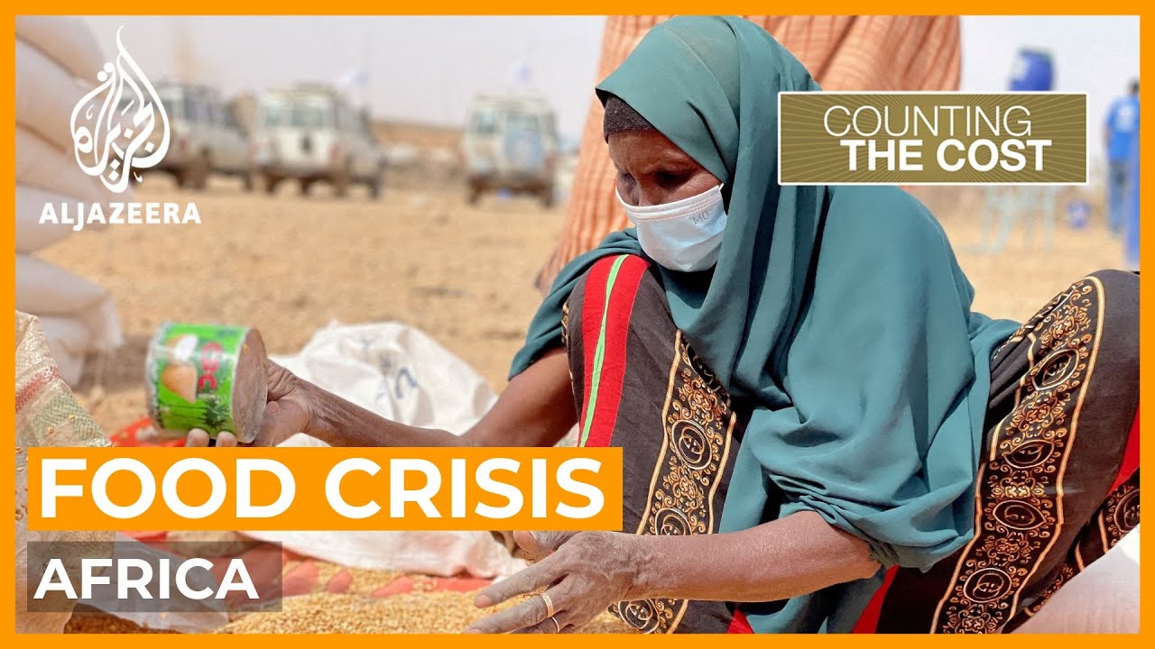 Could Ukraine war prompt another hunger crisis in Africa? | Counting the Cost