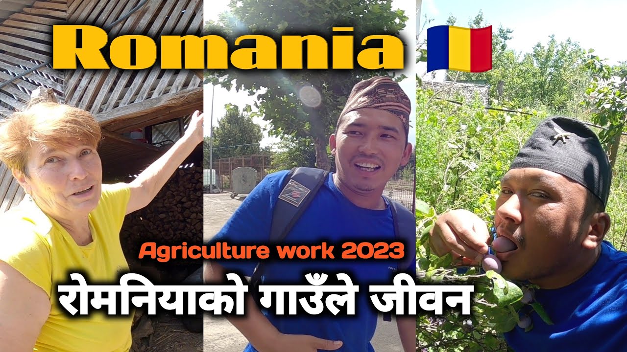 Romania 🇷🇴 || रोमनियाको गाउँले जीवन 🤷 || खेती गर्ने तरिका 🍅