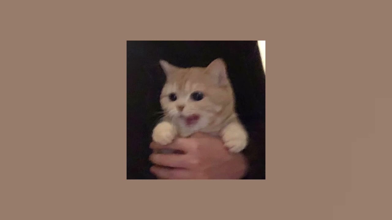 Notion (sped up)