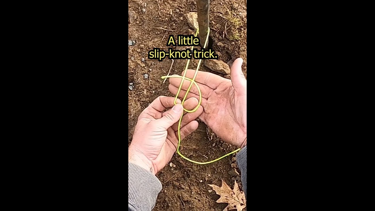 Super Easy String Line Trick | #hardscaping #pavers #concrete
