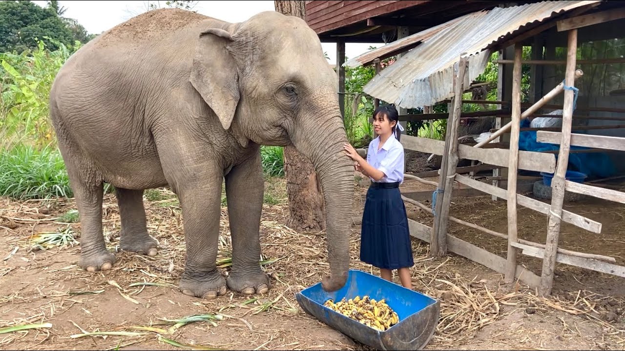 คิดถึง…แรง‼️น้องฟิล์ม แอบ❤️สุพรรษา มาหา…แม่กำไร
