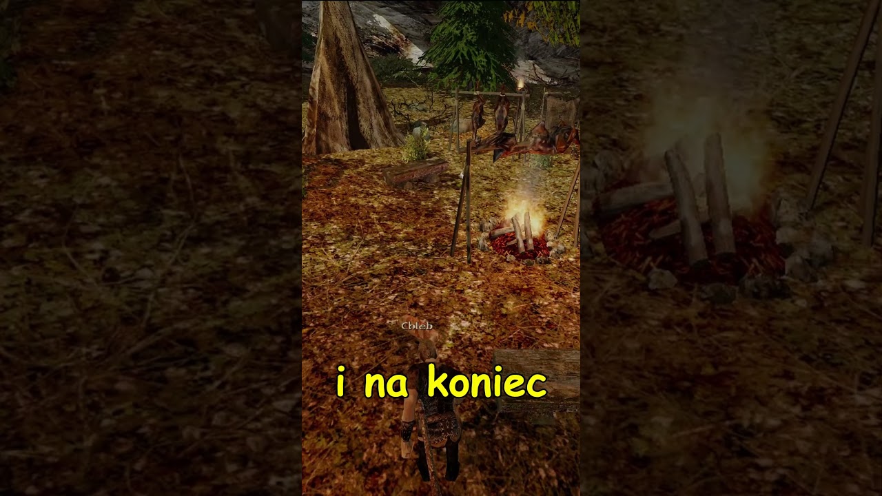RZADKA ciekawostka o sk&oacute;rowaniu w GOTHIC 2 #gothic #ciekawostki #retrogaming
