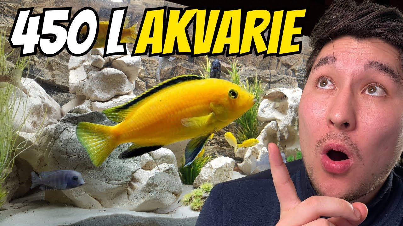 HAR KØBT ET 450 LITERS AKVARIE!