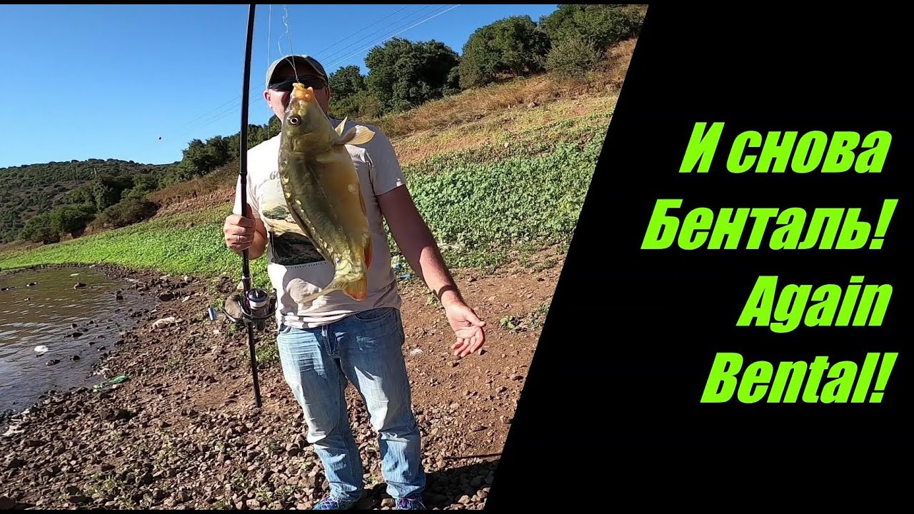 Рыбалка. Озеро Бенталь. Мером Голан. Израиль. Fishing. Lake Bental. Merom Golan.  Israel.
