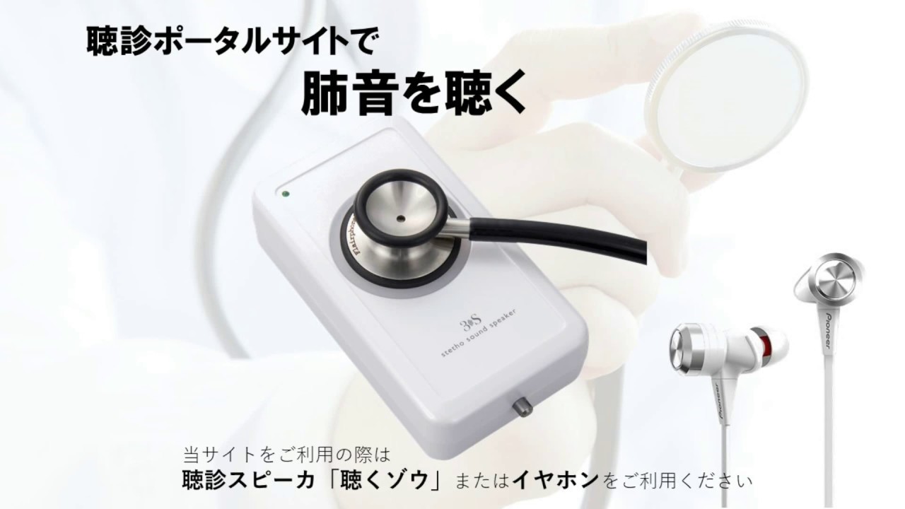 聴診ポータルサイトの肺音