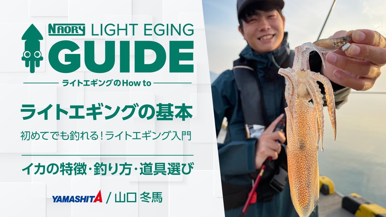 【ライトエギング入門】釣れるイカ・必要な道具・釣り方を徹底解説！【ライトエギングガイド】