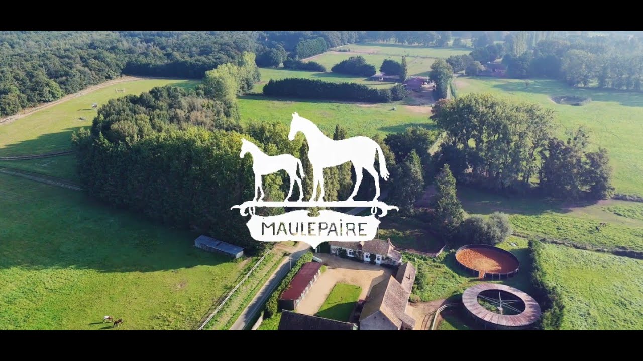 Haras de Maulepaire : son nouveau visage en 2025 avec Maïlys et Gérard de Tarragon