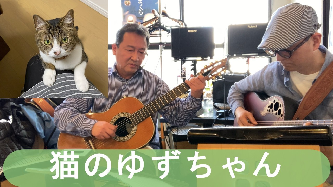 猫のゆずちゃん -  The Wave - 高円寺心ごはん結卯さんにて
