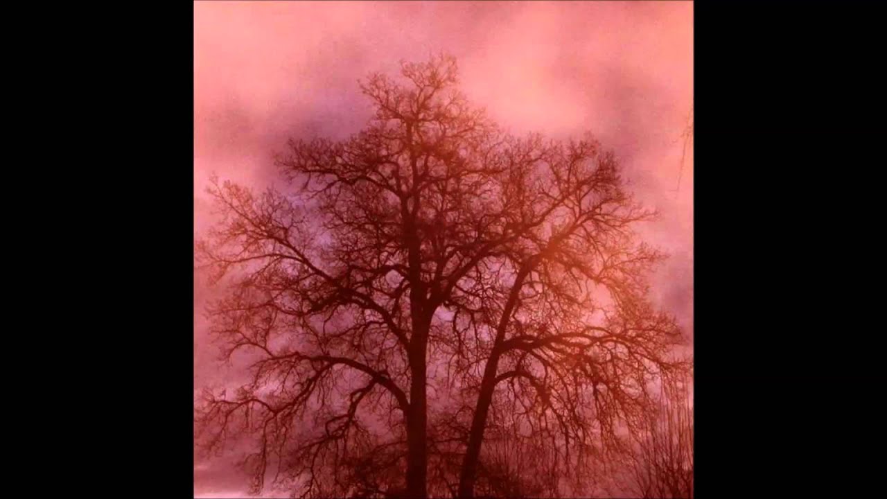 EKP - Live a lie