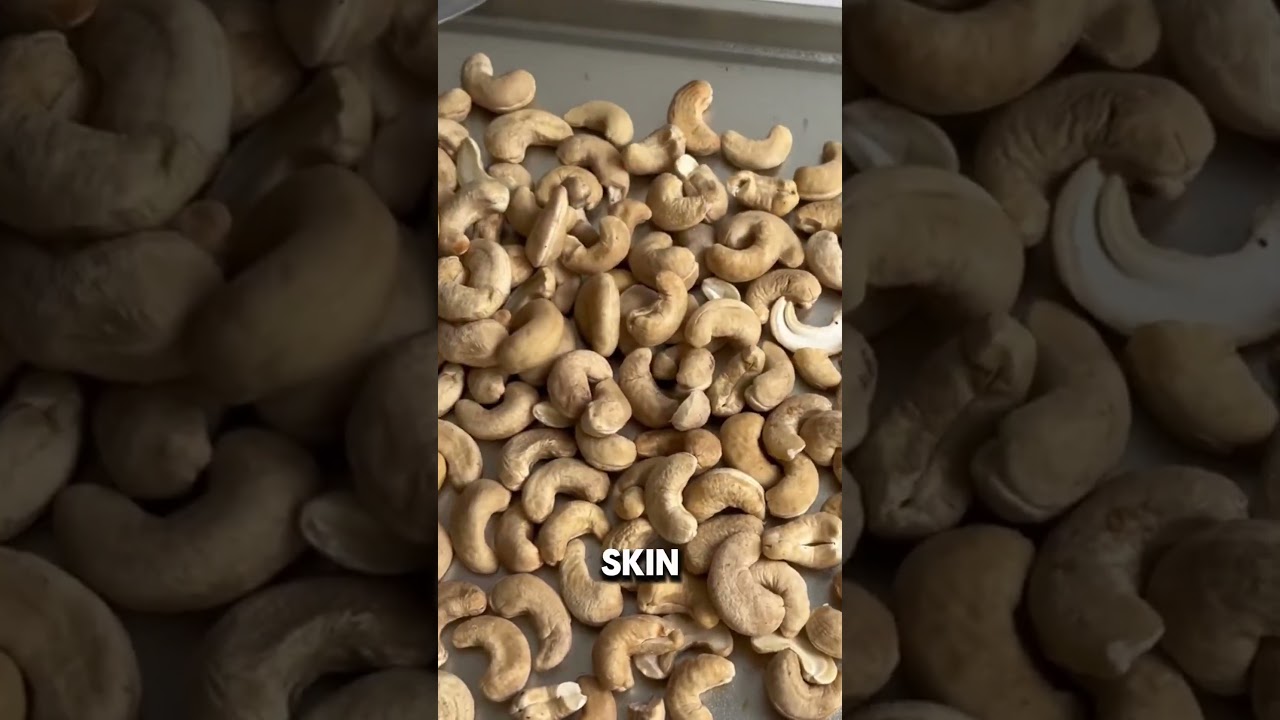 This is how cashews grow?! You&rsquo;ve never seen this nut before! 😱🌰