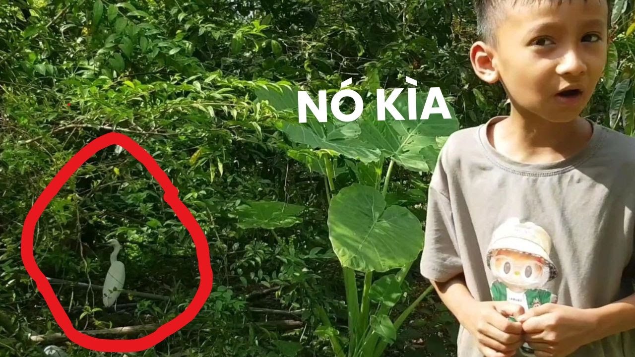 Chú Cò Lạ Bất Ngờ Ghé Thăm | Cả Nhà Thiên Sơn TV Rượt Đuổi Hồi Hộp Cười Xỉu