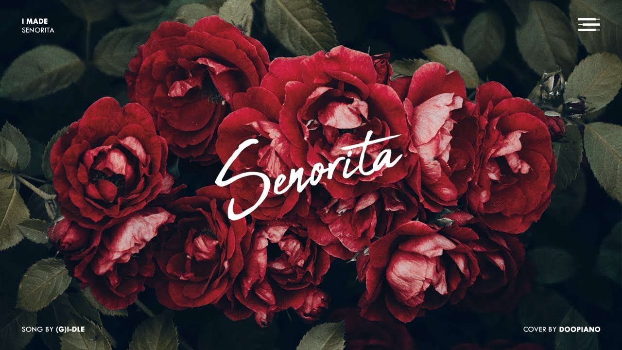 (여자)아이들 ((G)I-DLE) - Senorita Piano Cover
