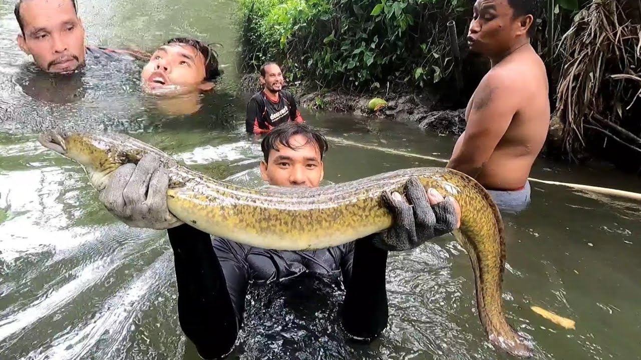 Ang lalim ng butas na pinasukan ng PALOS EEL or KASILI mga 2 Dipa at kalahati