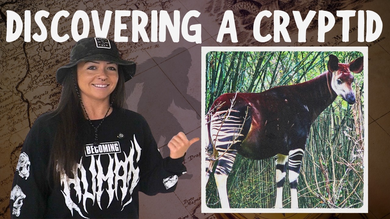 Настоящие криптиды: OKAPI! | Линдси Николь