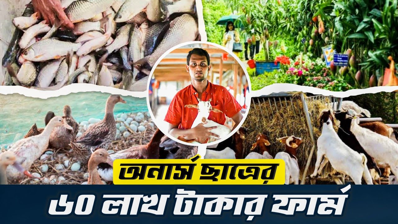 অনার্স ছাত্রের 60 লাখ টাকার ফার্ম | Integrated farm | Goat farm | Duck framing | Fish farming