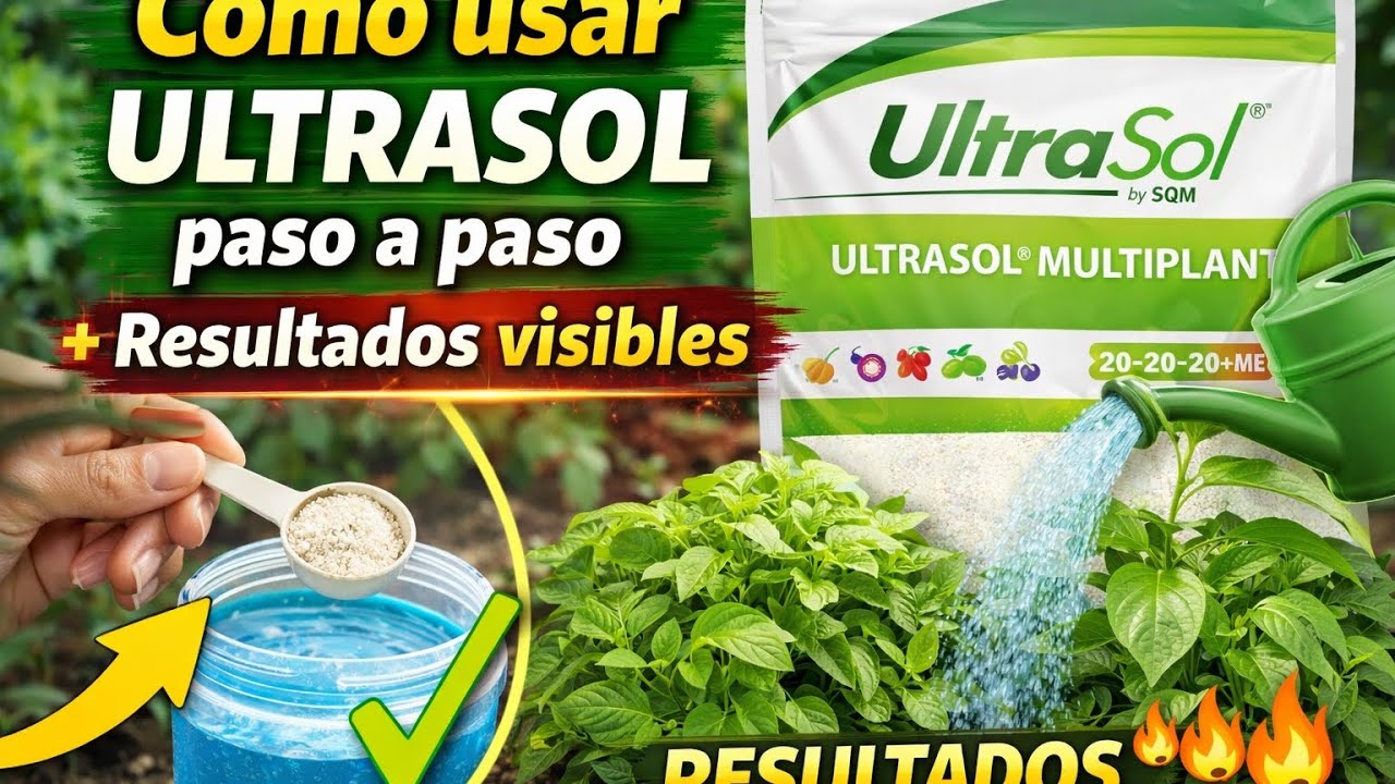 Cómo usar ULTRASOL paso a paso | Resultados visibles