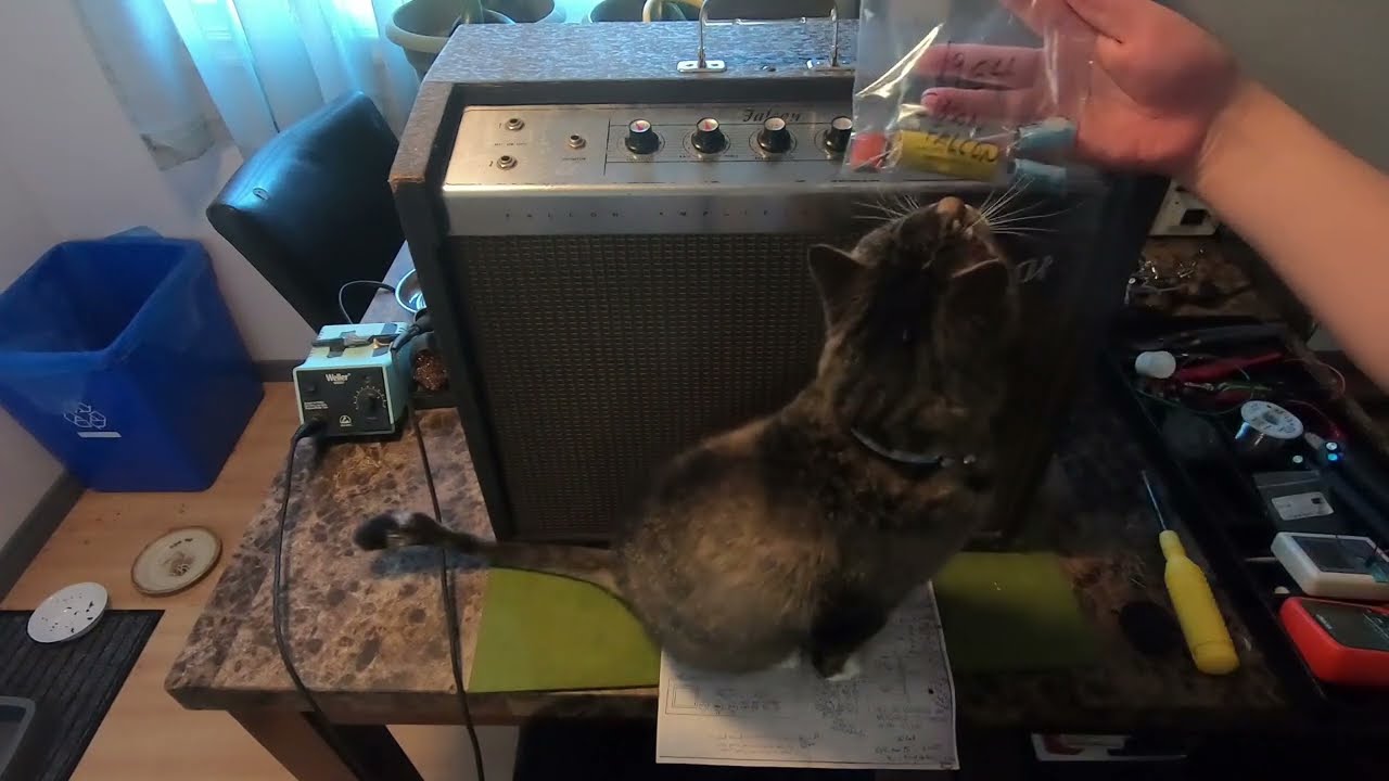 1964 Gibson Falcon