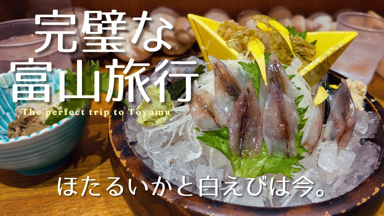 【東京⇔富山日帰り旅行】旬の海鮮も立山連峰の絶景もホタルイカとの触れ合いも。8時間滞在の日帰り旅行で全部叶えます。