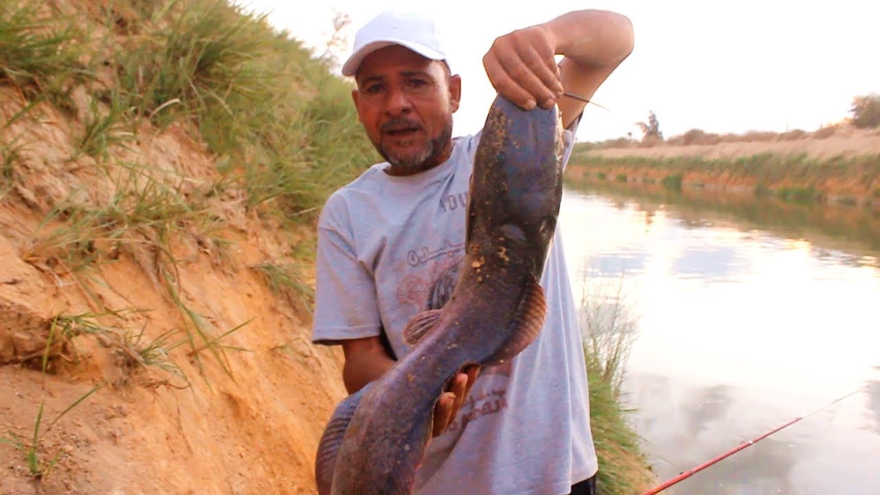 اديلو على ودانو مجزره صيد القراميط و البياض CATCHFISH