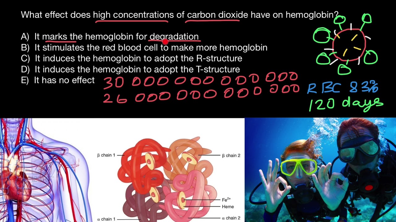 T-State and R-State of Hemoglobin