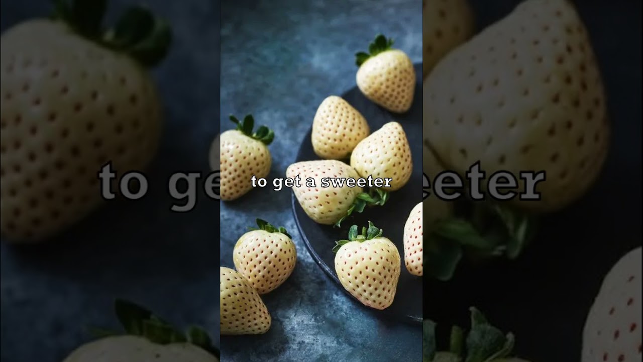 White Strawberries Are Expensive! 🍓