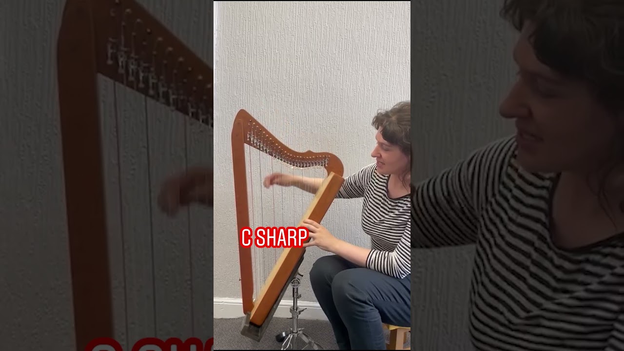 Understanding the Harp: What is a Lap Harp? 🎶