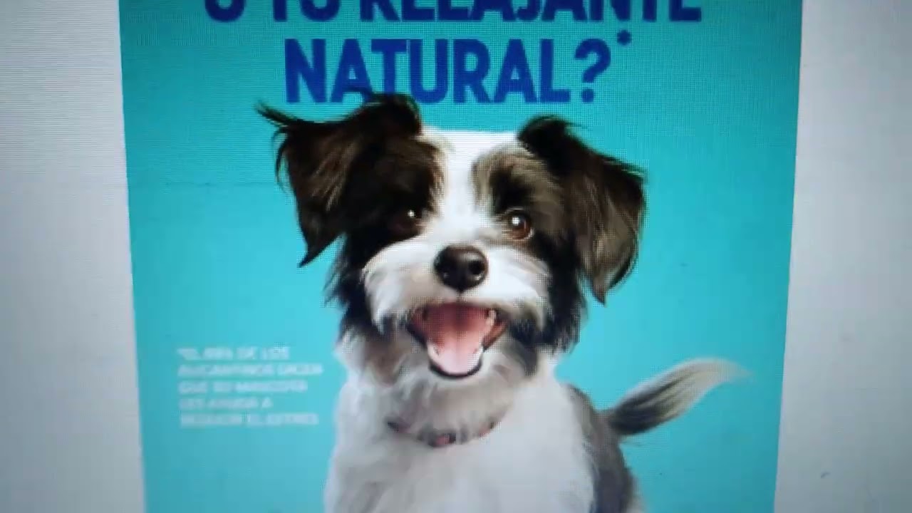 Aula 11: análise de PUBLICIDADES COM ANIMAIS  em espanhol 