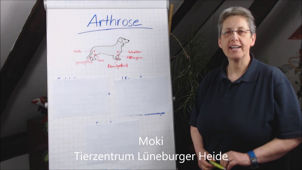 Arthrose