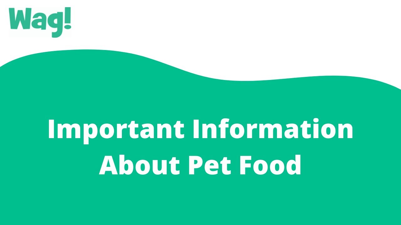 Important Information About Pet Food | Wag!