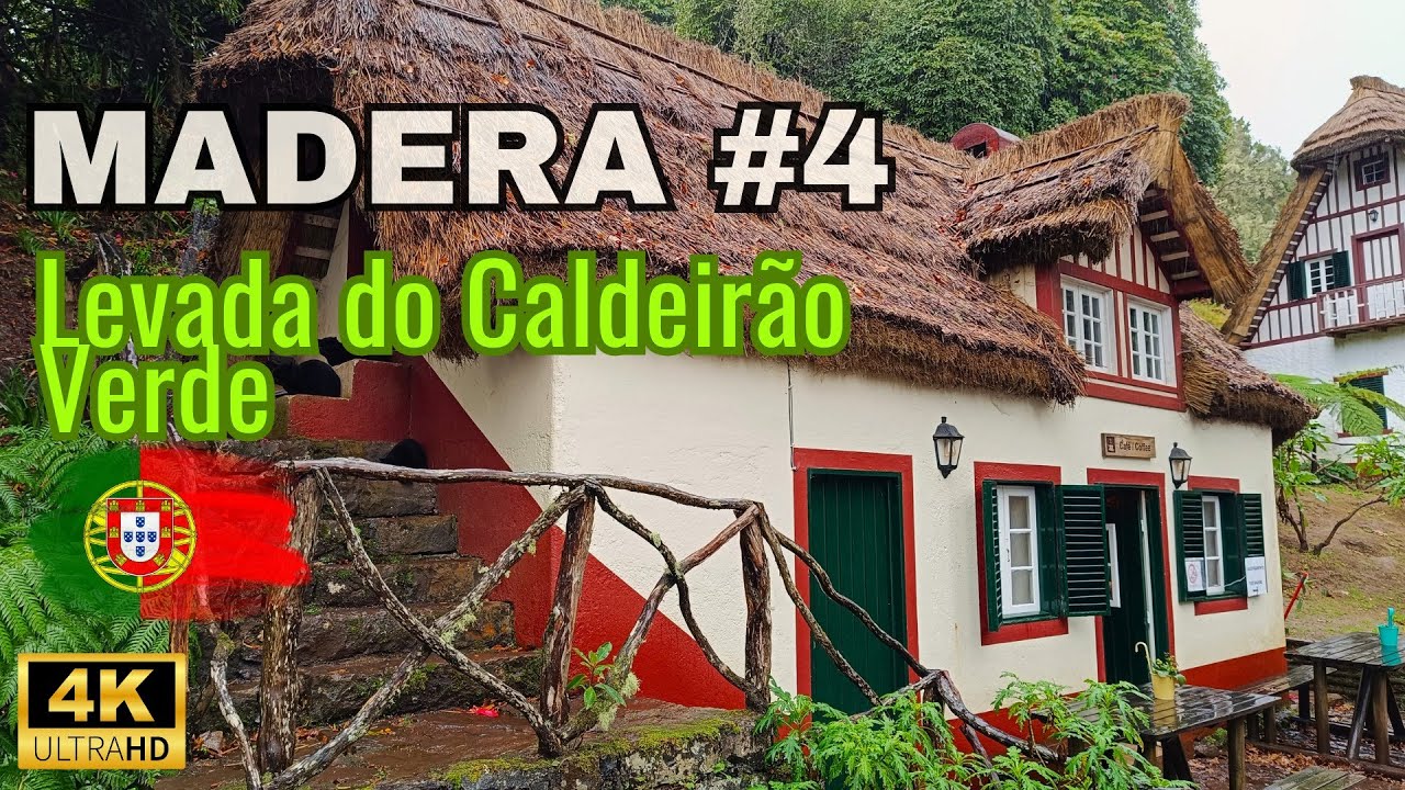 Madera cz.4 szlak PR 9 Levada do Caldeirão Verde Parque Florestal das Queimadas 4K