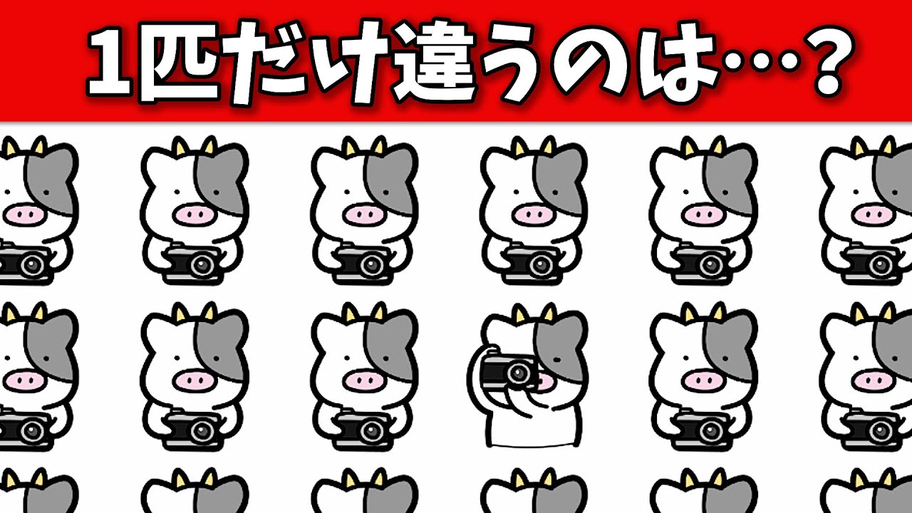 毎日習慣！難しくなる脳トレ★【写真・カメラ編】1つだけ違うのは？【認知症予防/脳活/間違い探し】第582回