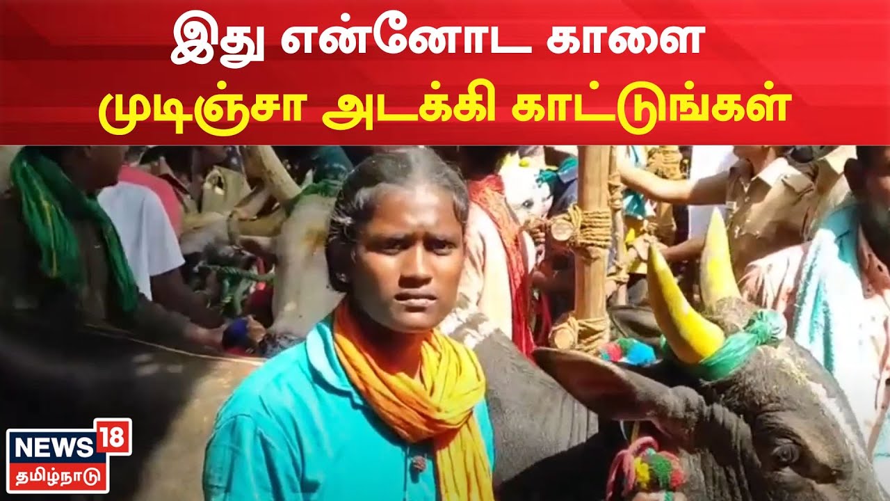 Alanganallur Jallikattu | இது என்னோட காளை முடிஞ்சா அடக்கி காட்டுங்கள் | Pongal 2023 | Madurai