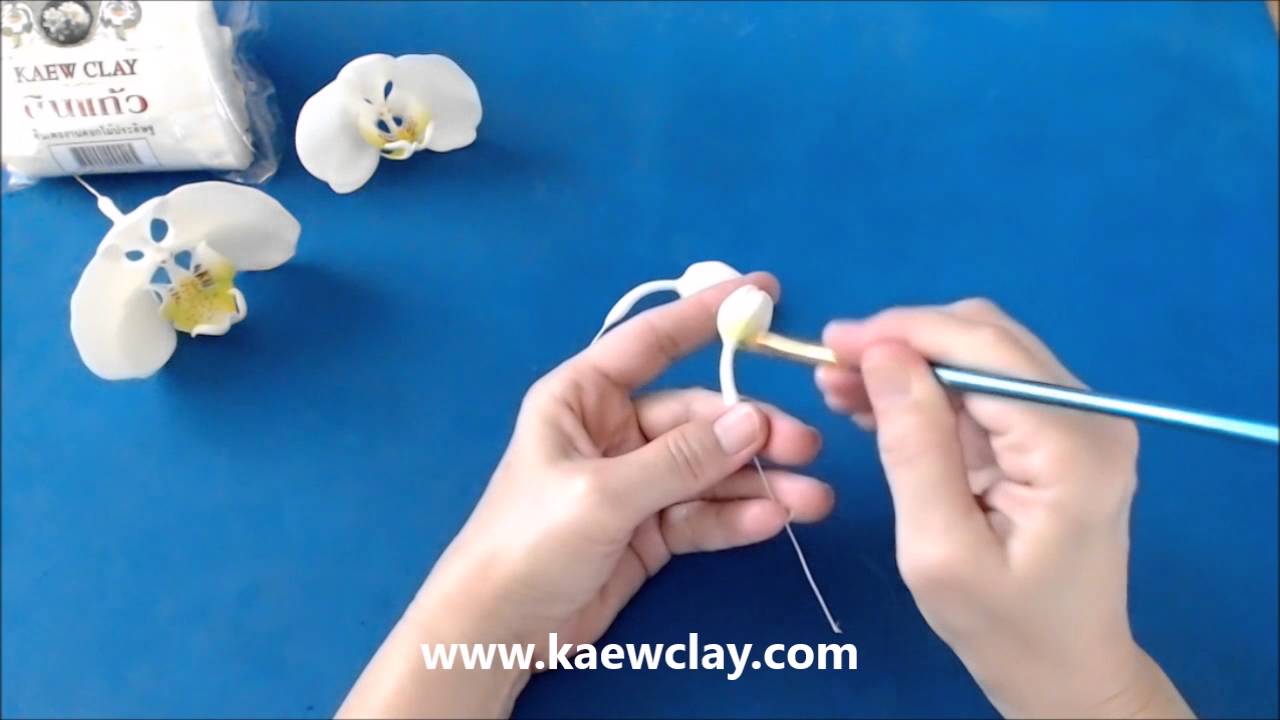 กล้วยไม้ฟาแลนนอปซิส (Examples DVD How to make Phalaenopsis with KAEWCLAY)